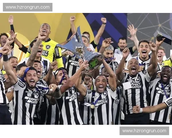 全球足球联赛大盘点 探秘各大顶级联赛的魅力与发展